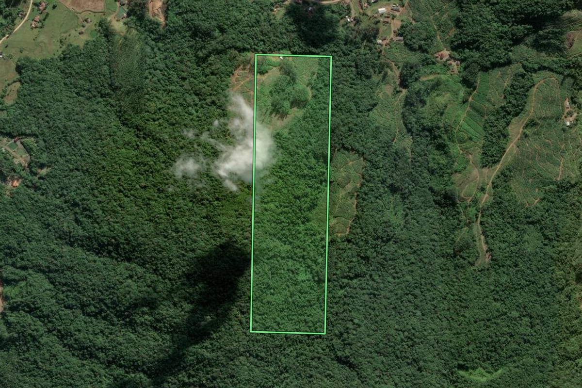 Imagem de satélite do imóvel rural em Luiz Alves (SC), com o contorno declarado no CAR desenhado por cima.