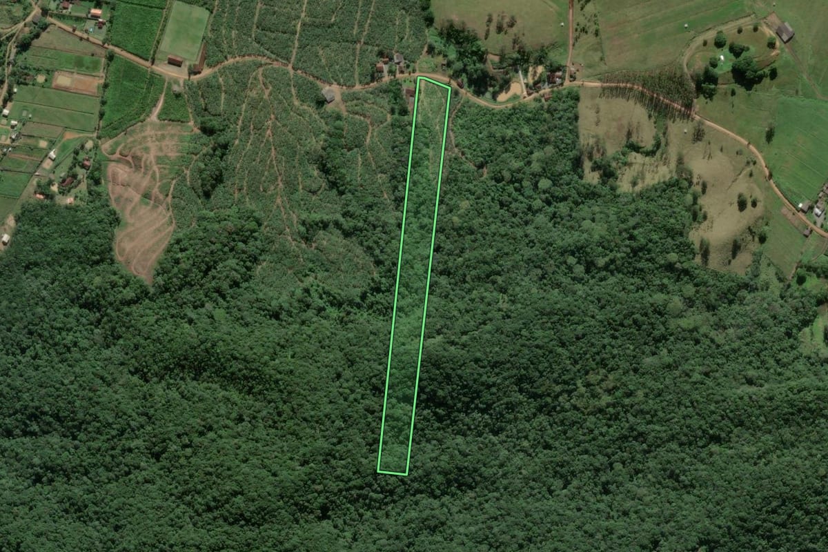 Imagem de satélite do imóvel rural em Luiz Alves (SC), com o contorno declarado no CAR desenhado por cima.