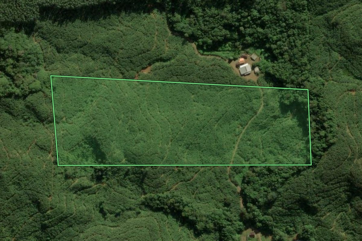Imagem de satélite do imóvel rural em Luiz Alves (SC), com o contorno declarado no CAR desenhado por cima.