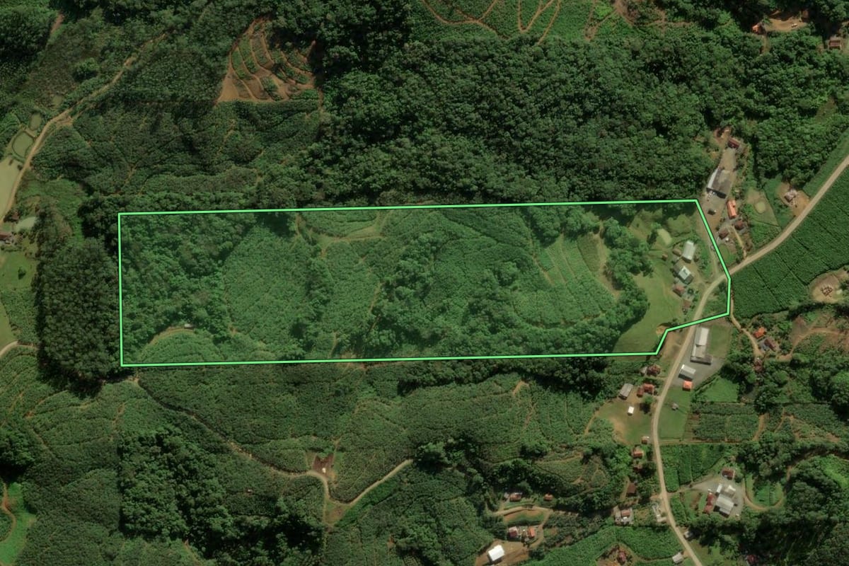 Imagem de satélite do imóvel rural em Luiz Alves (SC), com o contorno declarado no CAR desenhado por cima.