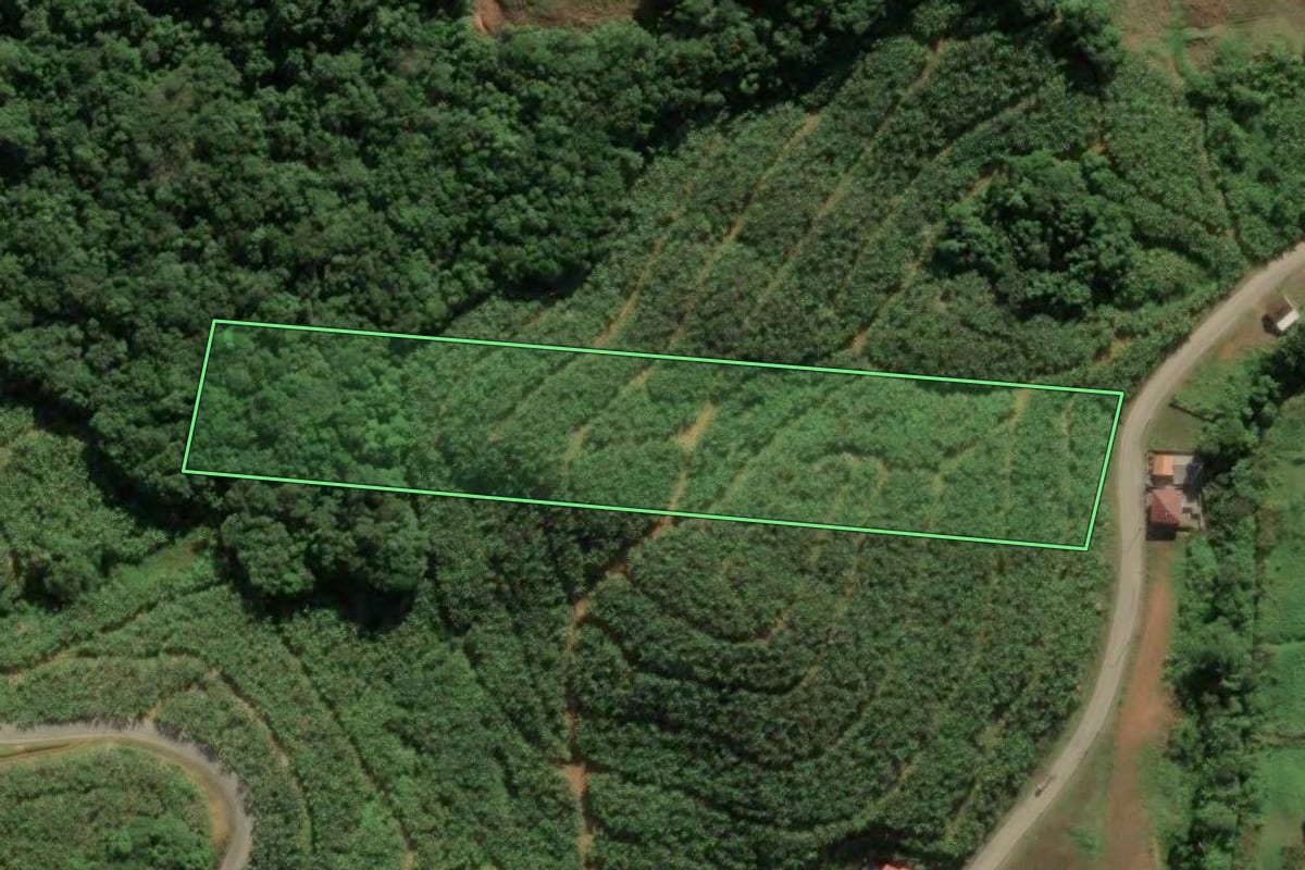 Imagem de satélite do imóvel rural em Luiz Alves (SC), com o contorno declarado no CAR desenhado por cima.
