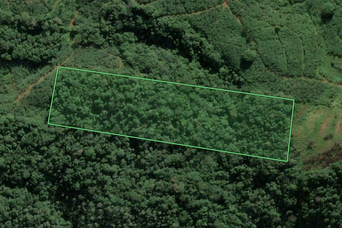 Imagem de satélite do imóvel rural em Luiz Alves (SC), com o contorno declarado no CAR desenhado por cima.