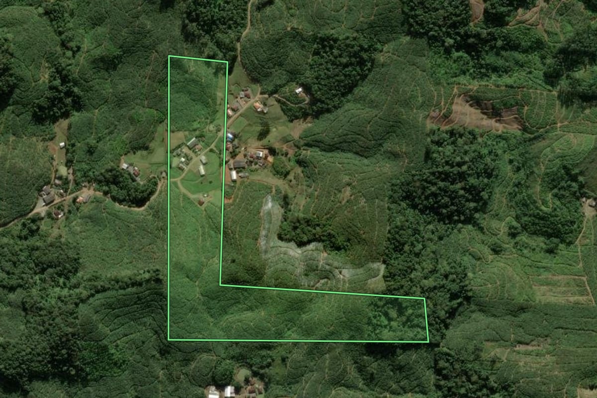 Imagem de satélite do imóvel rural em Luiz Alves (SC), com o contorno declarado no CAR desenhado por cima.