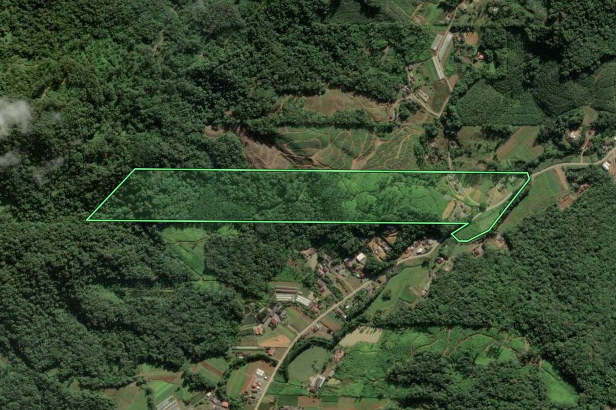 Imagem de satélite do imóvel rural em Luiz Alves (SC), com o contorno declarado no CAR desenhado por cima.