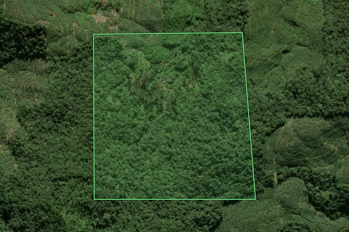 Imagem de satélite do imóvel rural em Luiz Alves (SC), com o contorno declarado no CAR desenhado por cima.
