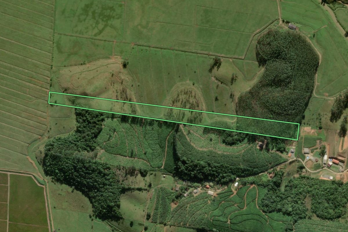 Imagem de satélite do imóvel rural em Luiz Alves (SC), com o contorno declarado no CAR desenhado por cima.