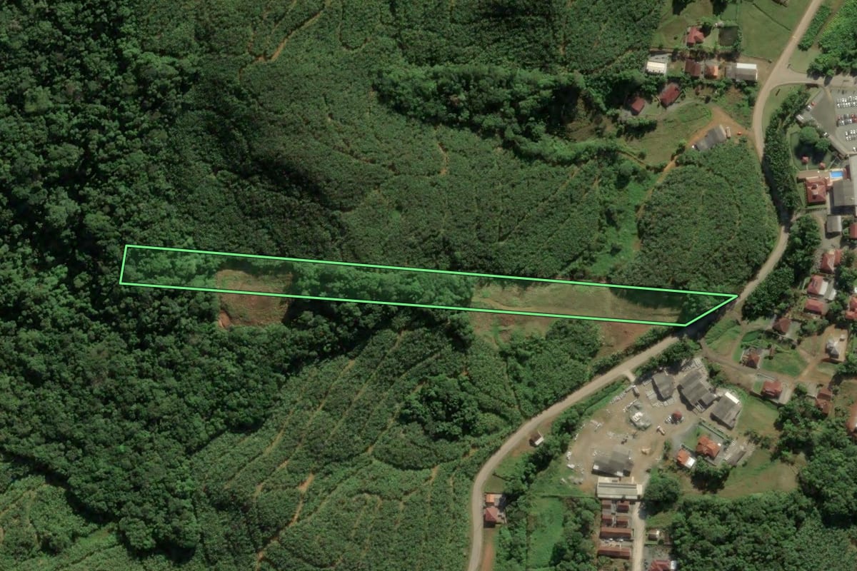 Imagem de satélite do imóvel rural em Luiz Alves (SC), com o contorno declarado no CAR desenhado por cima.