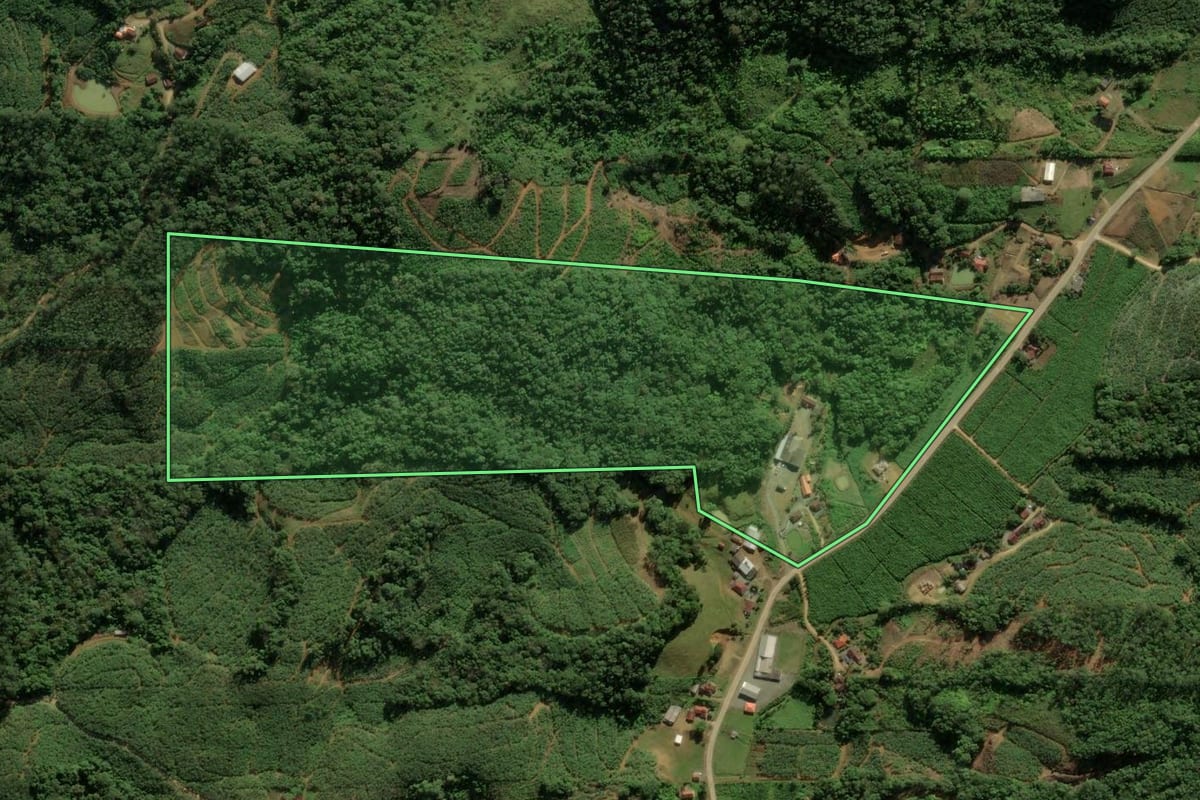 Imagem de satélite do imóvel rural em Luiz Alves (SC), com o contorno declarado no CAR desenhado por cima.