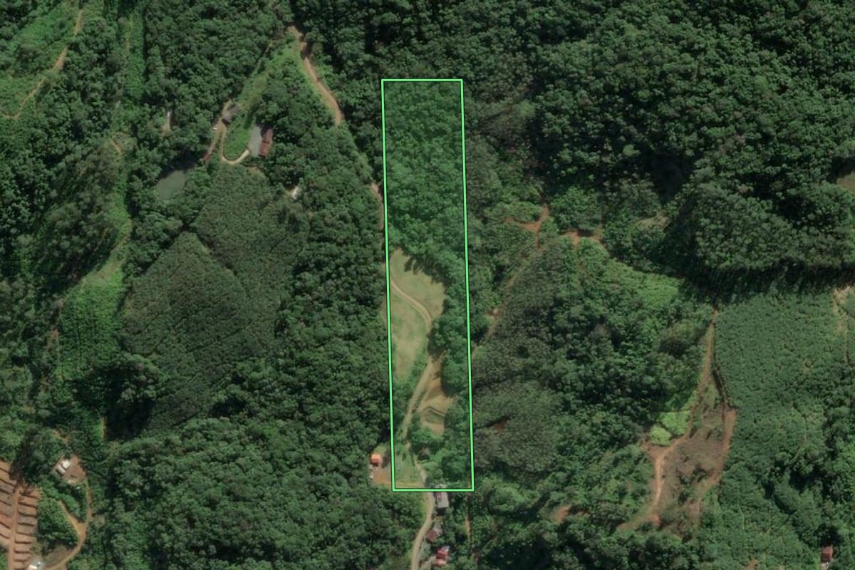 Imagem de satélite do imóvel rural em Luiz Alves (SC), com o contorno declarado no CAR desenhado por cima.
