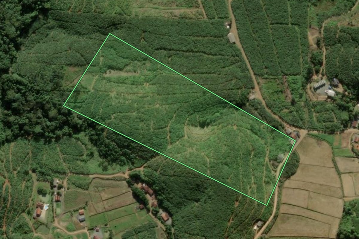 Imagem de satélite do imóvel rural em Luiz Alves (SC), com o contorno declarado no CAR desenhado por cima.