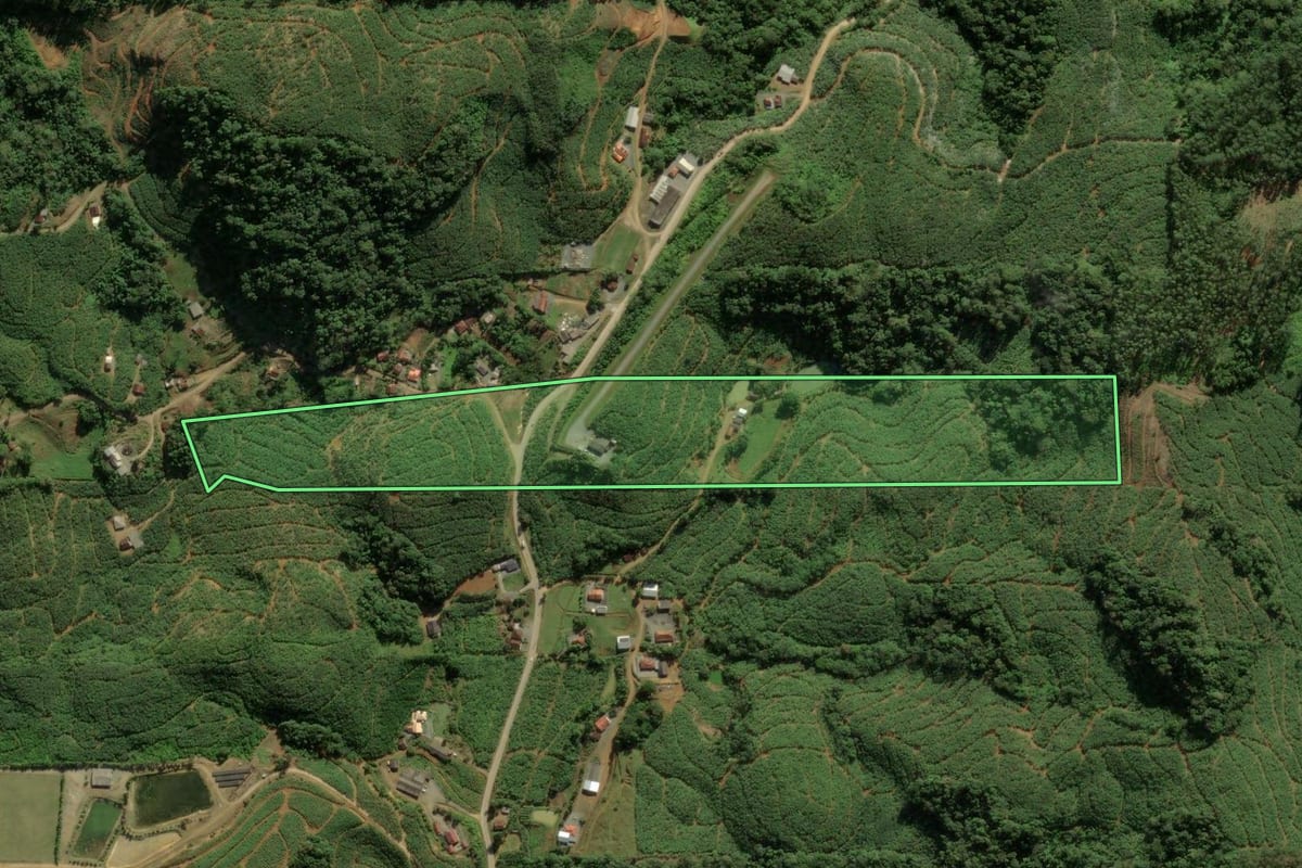 Imagem de satélite do imóvel rural em Luiz Alves (SC), com o contorno declarado no CAR desenhado por cima.