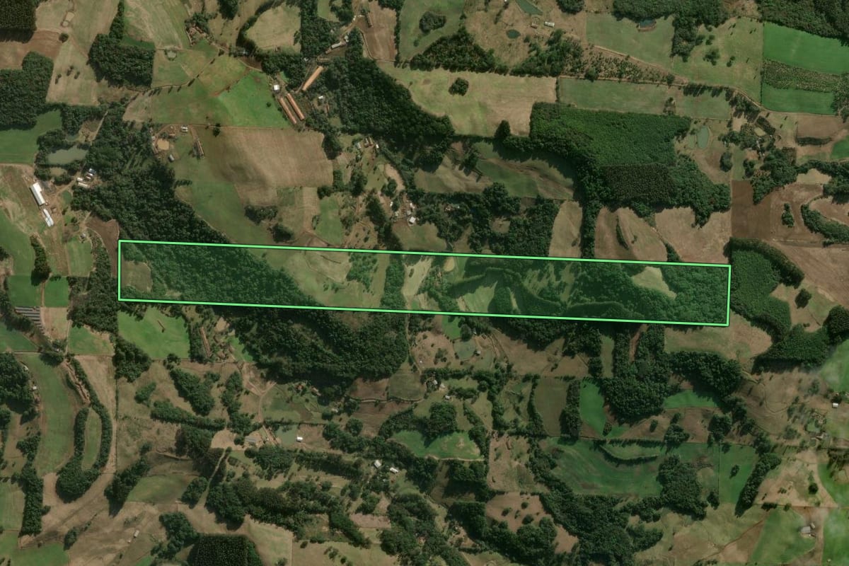 Imagem de satélite do imóvel rural em Luzerna (SC), com o contorno declarado no CAR desenhado por cima.
