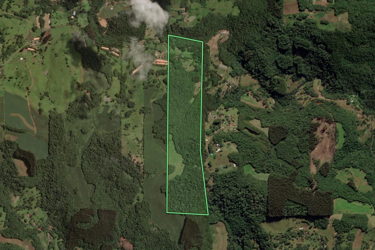 Imagem de satélite do imóvel rural em Luzerna (SC), com o contorno declarado no CAR desenhado por cima.