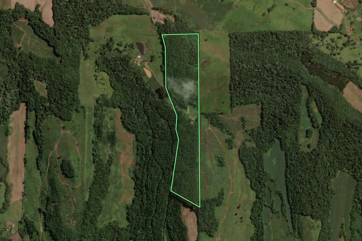 Imagem de satélite do imóvel rural em Luzerna (SC), com o contorno declarado no CAR desenhado por cima.