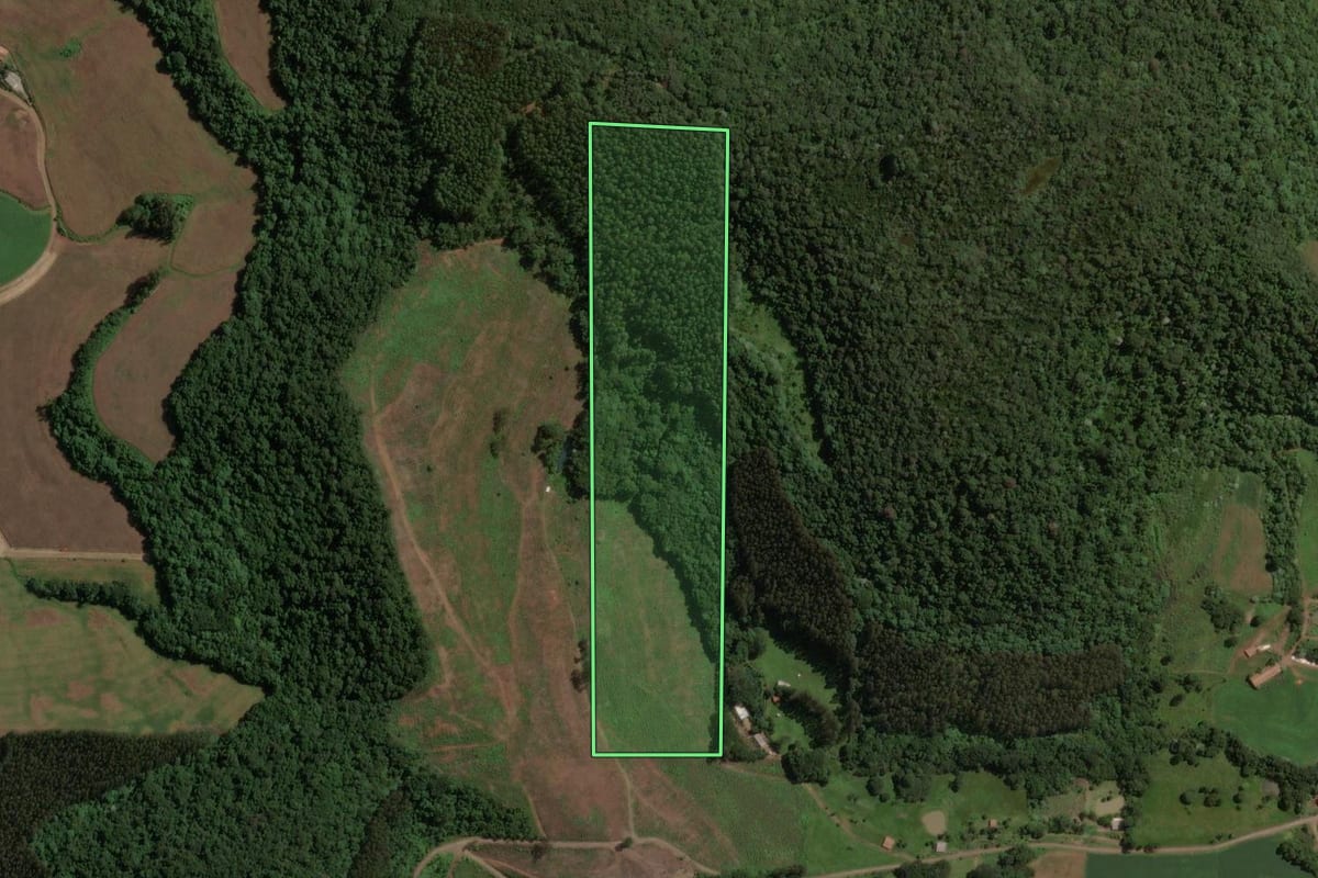 Imagem de satélite do imóvel rural em Luzerna (SC), com o contorno declarado no CAR desenhado por cima.