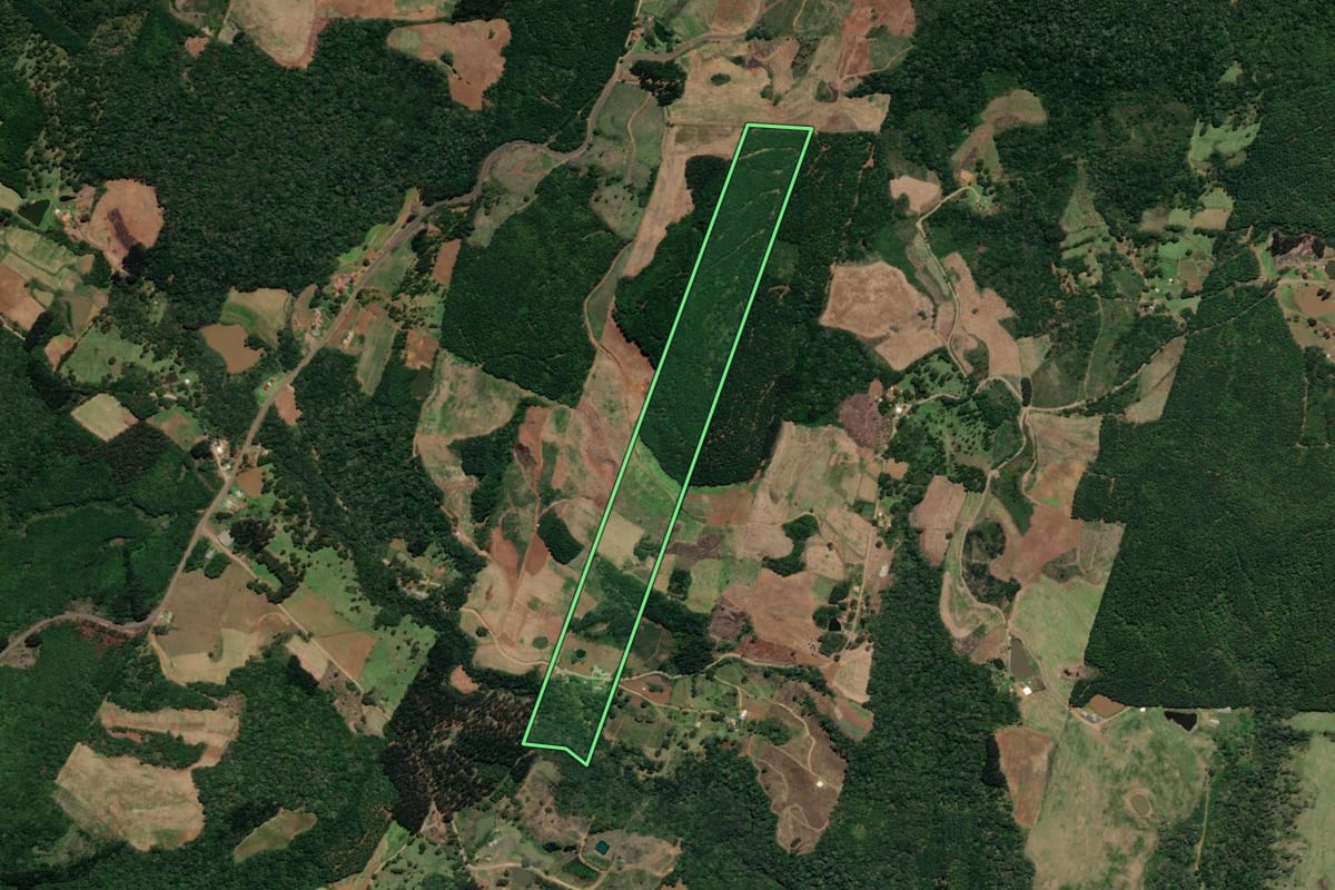 Imagem de satélite do imóvel rural em Macieira (SC), com o contorno declarado no CAR desenhado por cima.