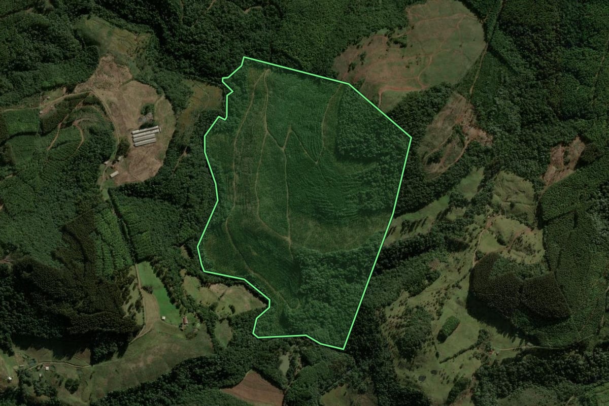 Imagem de satélite do imóvel rural em Macieira (SC), com o contorno declarado no CAR desenhado por cima.