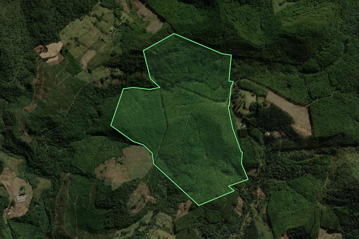 Imagem de satélite do imóvel rural em Macieira (SC), com o contorno declarado no CAR desenhado por cima.