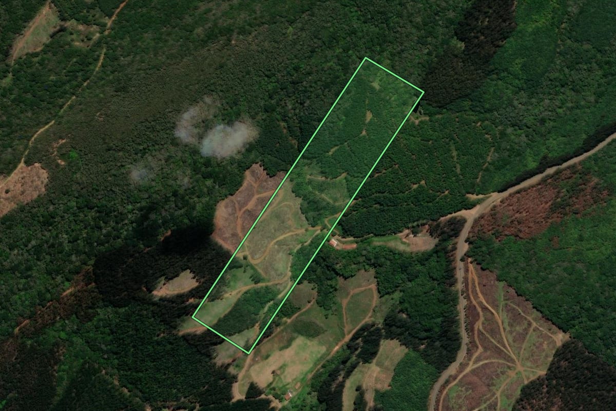 Imagem de satélite do imóvel rural em Macieira (SC), com o contorno declarado no CAR desenhado por cima.