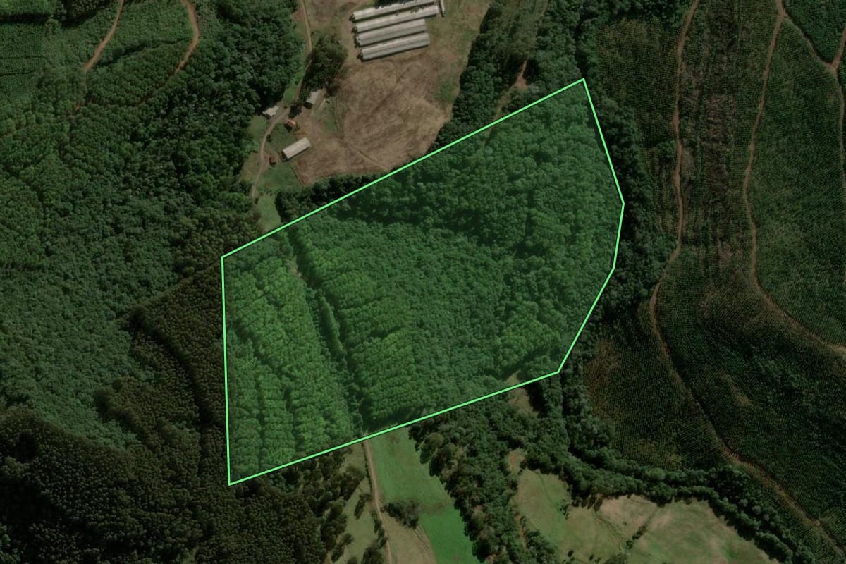 Imagem de satélite do imóvel rural em Macieira (SC), com o contorno declarado no CAR desenhado por cima.