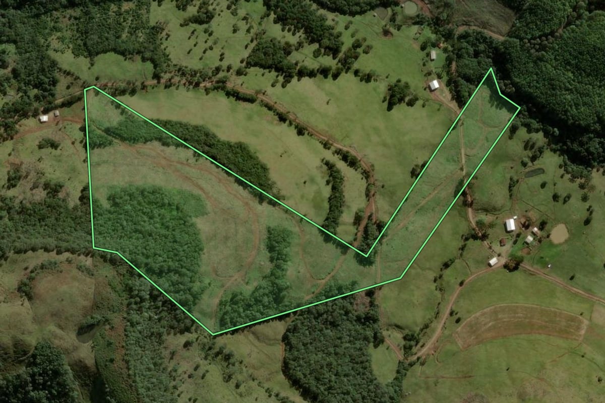 Imagem de satélite do imóvel rural em Macieira (SC), com o contorno declarado no CAR desenhado por cima.
