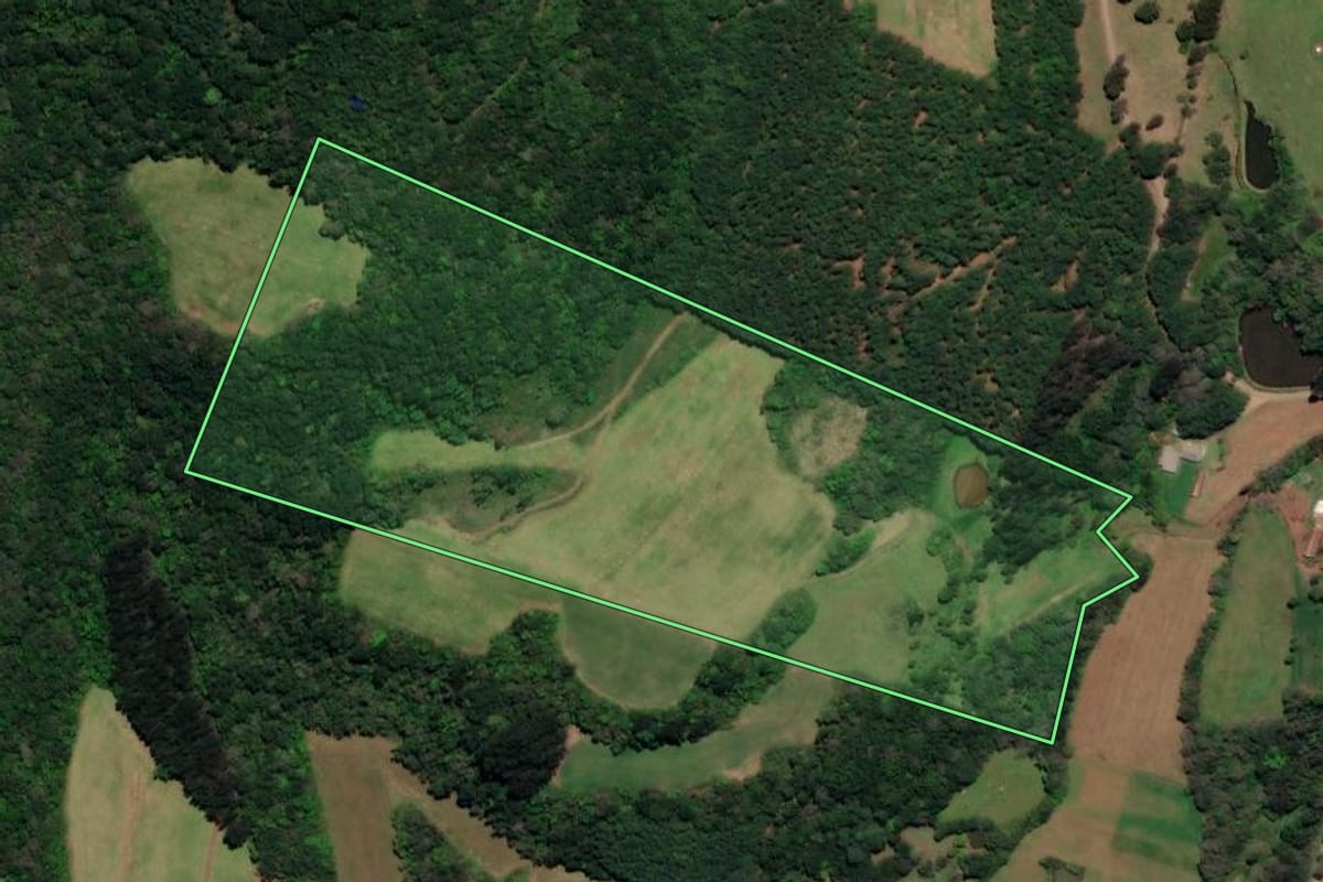 Imagem de satélite do imóvel rural em Macieira (SC), com o contorno declarado no CAR desenhado por cima.