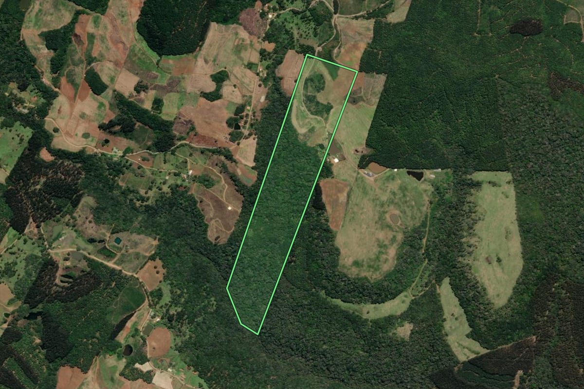 Imagem de satélite do imóvel rural em Macieira (SC), com o contorno declarado no CAR desenhado por cima.