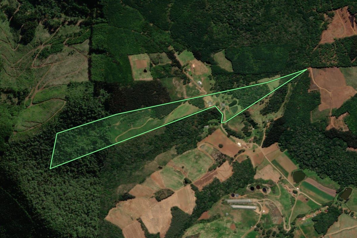 Imagem de satélite do imóvel rural em Macieira (SC), com o contorno declarado no CAR desenhado por cima.