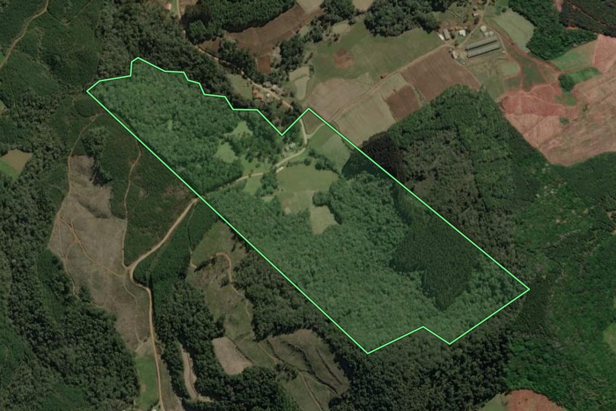 Imagem de satélite do imóvel rural em Macieira (SC), com o contorno declarado no CAR desenhado por cima.