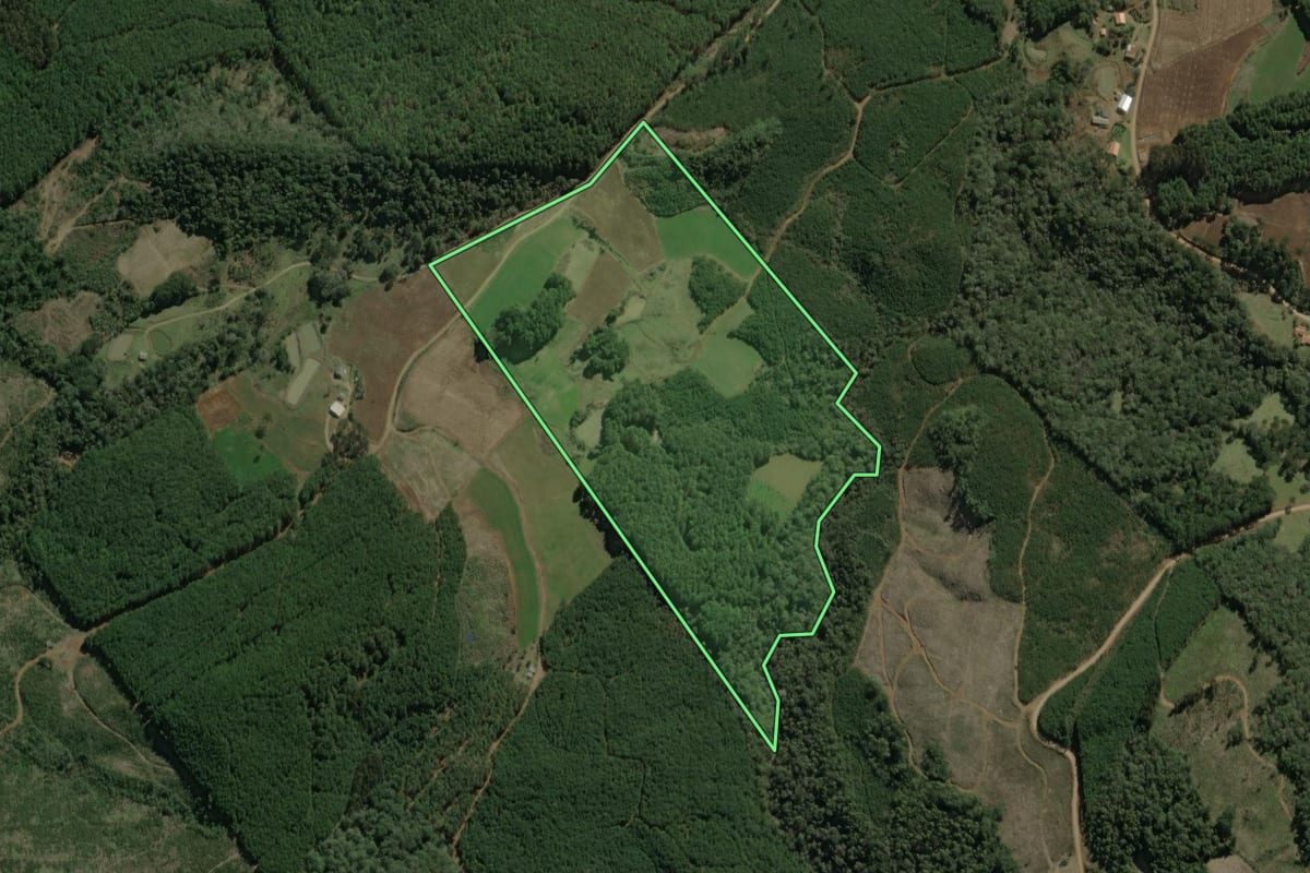 Imagem de satélite do imóvel rural em Macieira (SC), com o contorno declarado no CAR desenhado por cima.