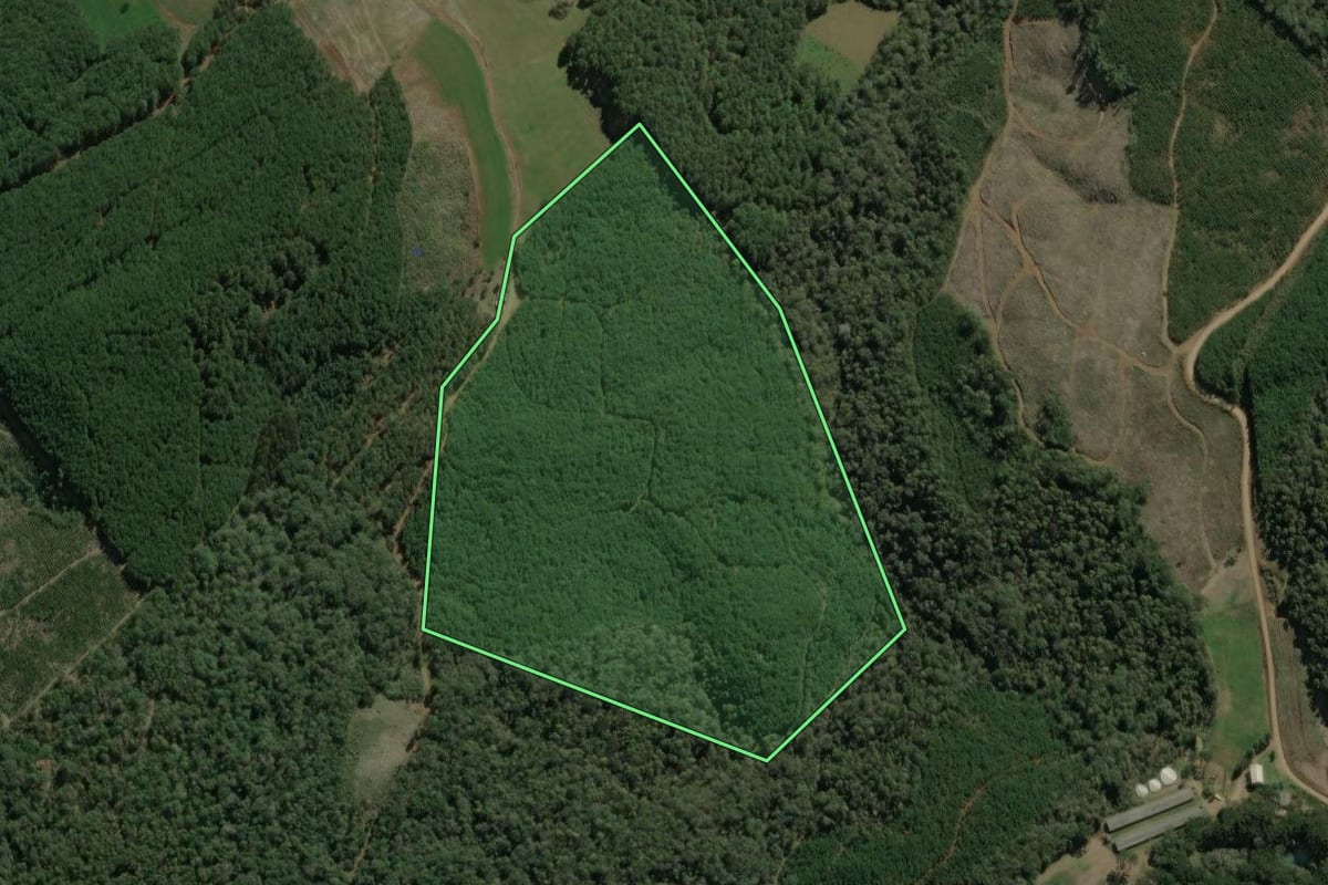 Imagem de satélite do imóvel rural em Macieira (SC), com o contorno declarado no CAR desenhado por cima.