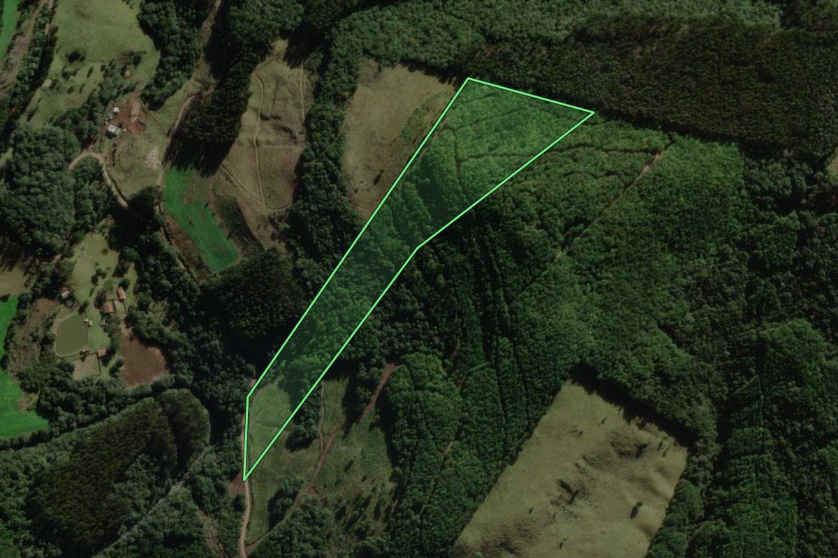 Imagem de satélite do imóvel rural em Macieira (SC), com o contorno declarado no CAR desenhado por cima.