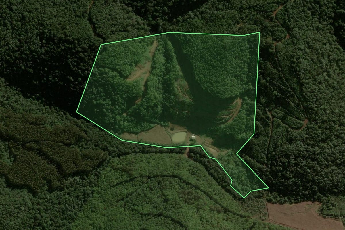 Imagem de satélite do imóvel rural em Macieira (SC), com o contorno declarado no CAR desenhado por cima.