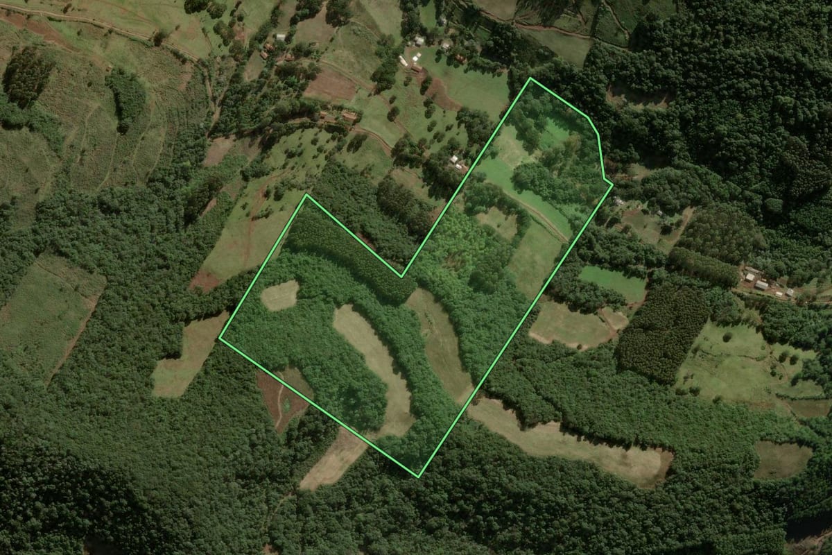 Imagem de satélite do imóvel rural em Macieira (SC), com o contorno declarado no CAR desenhado por cima.