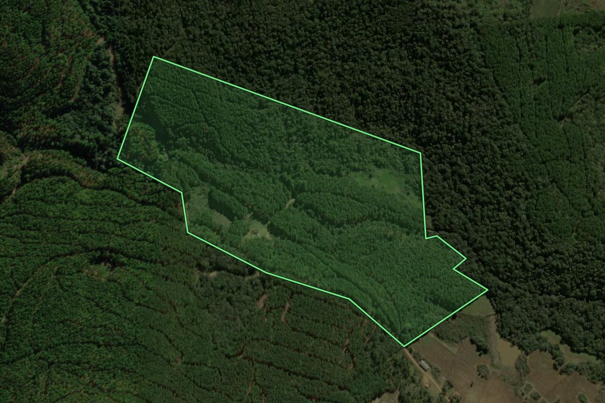Imagem de satélite do imóvel rural em Macieira (SC), com o contorno declarado no CAR desenhado por cima.