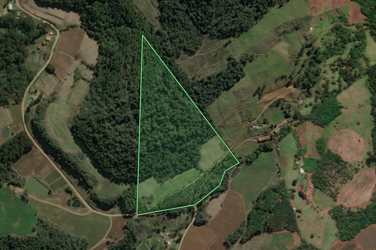 Imagem de satélite do imóvel rural em Macieira (SC), com o contorno declarado no CAR desenhado por cima.