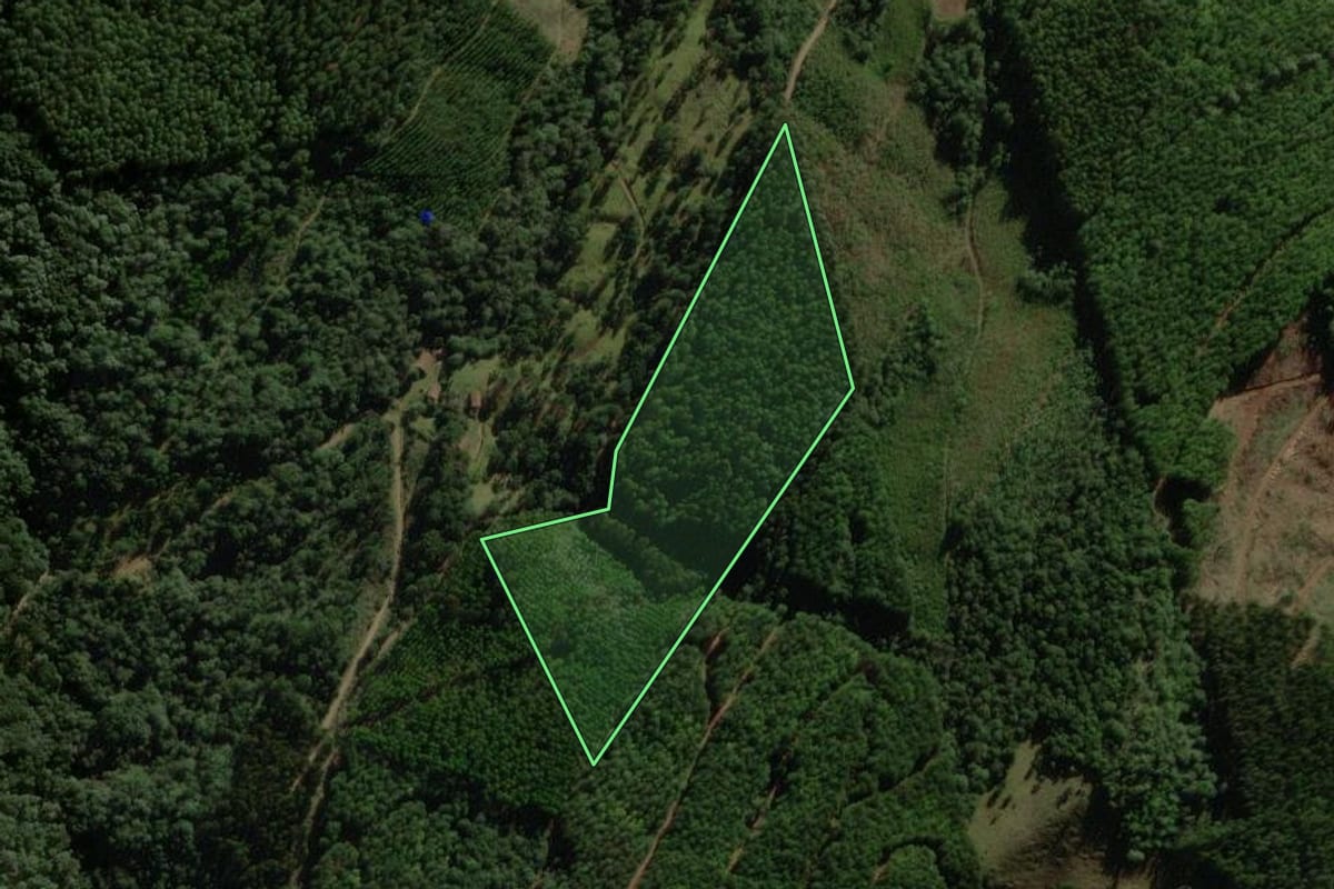 Imagem de satélite do imóvel rural em Macieira (SC), com o contorno declarado no CAR desenhado por cima.