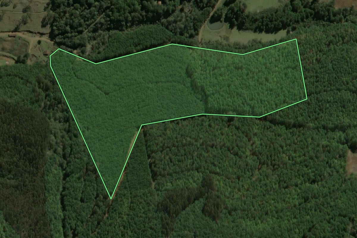 Imagem de satélite do imóvel rural em Macieira (SC), com o contorno declarado no CAR desenhado por cima.