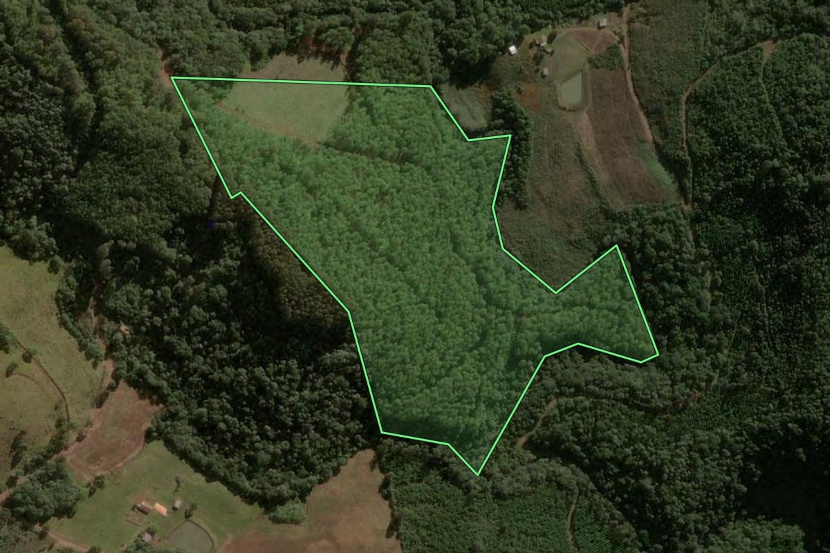 Imagem de satélite do imóvel rural em Macieira (SC), com o contorno declarado no CAR desenhado por cima.