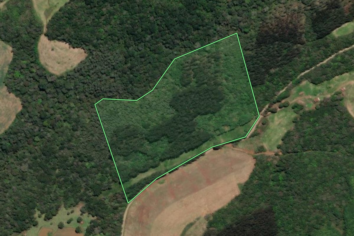 Imagem de satélite do imóvel rural em Macieira (SC), com o contorno declarado no CAR desenhado por cima.