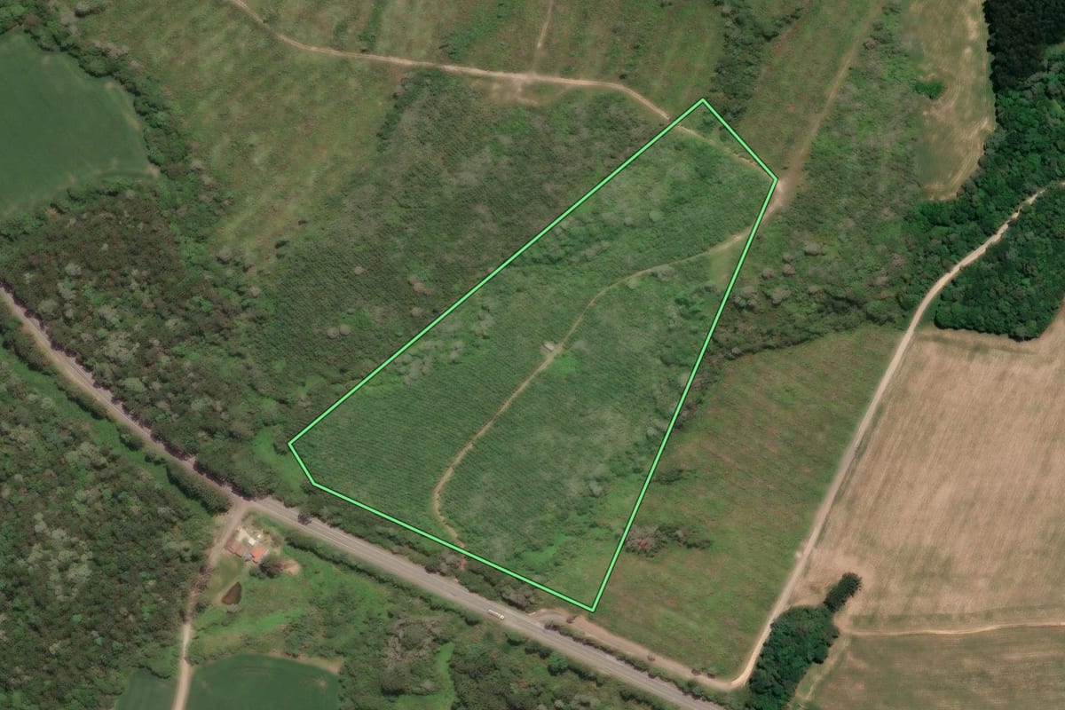 Imagem de satélite do imóvel rural em Mafra (SC), com o contorno declarado no CAR desenhado por cima.