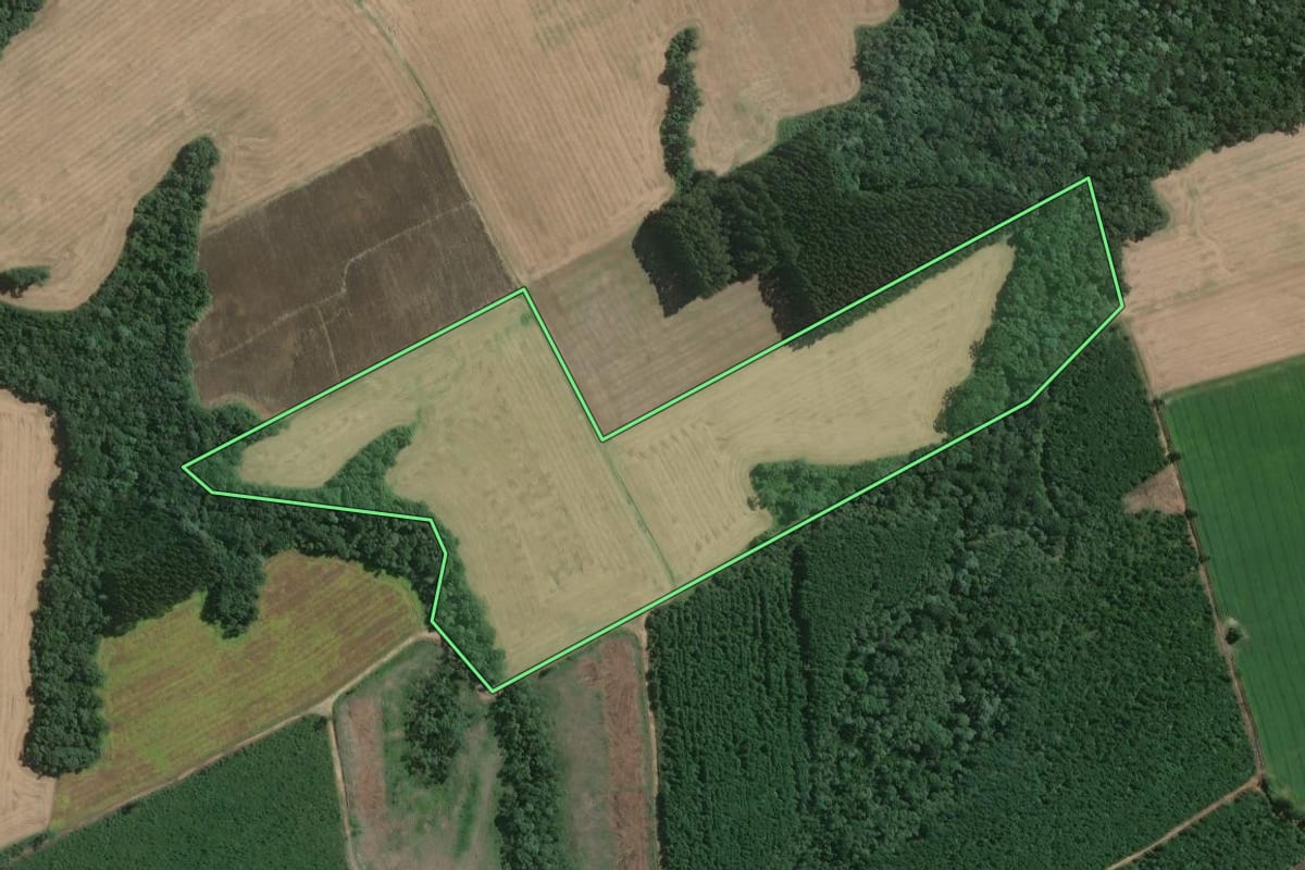 Imagem de satélite do imóvel rural em Mafra (SC), com o contorno declarado no CAR desenhado por cima.