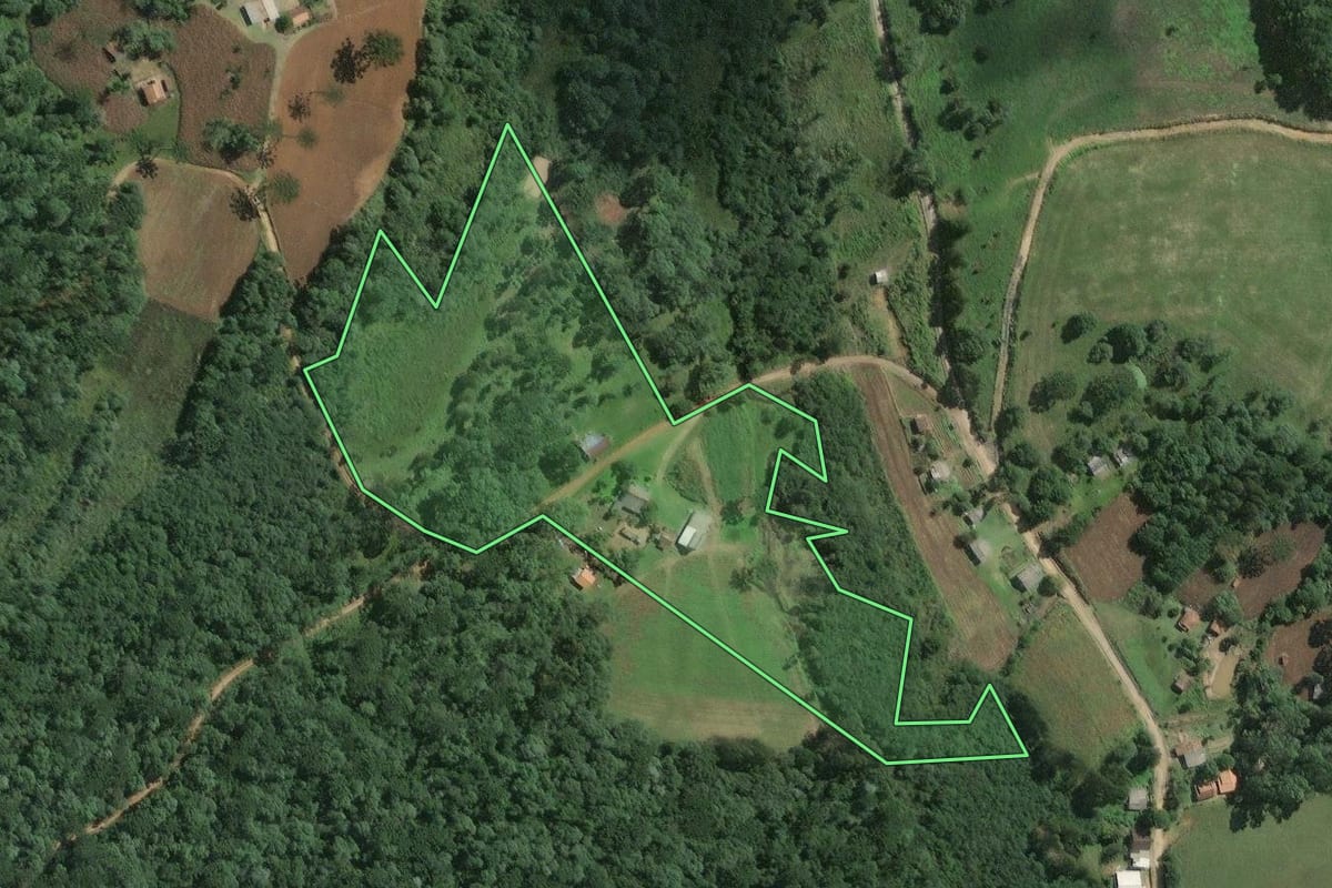 Imagem de satélite do imóvel rural em Mafra (SC), com o contorno declarado no CAR desenhado por cima.