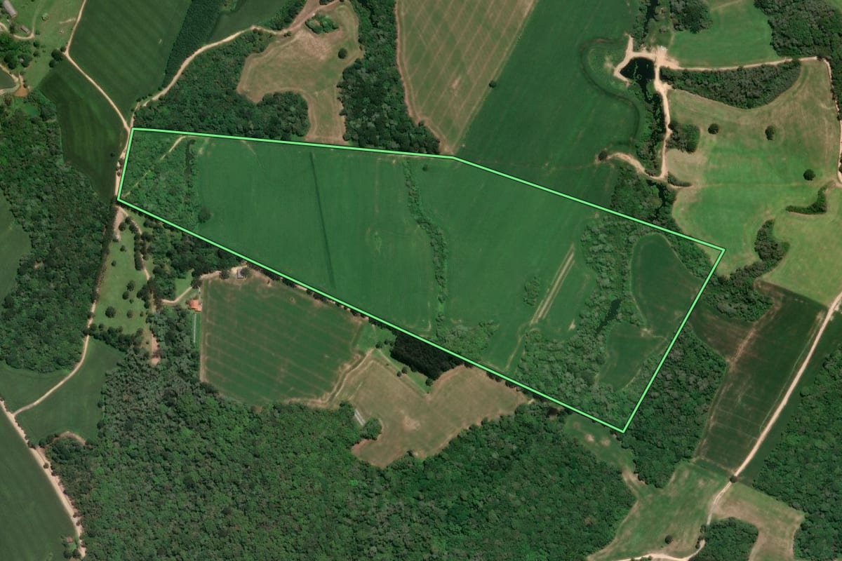 Imagem de satélite do imóvel rural em Mafra (SC), com o contorno declarado no CAR desenhado por cima.