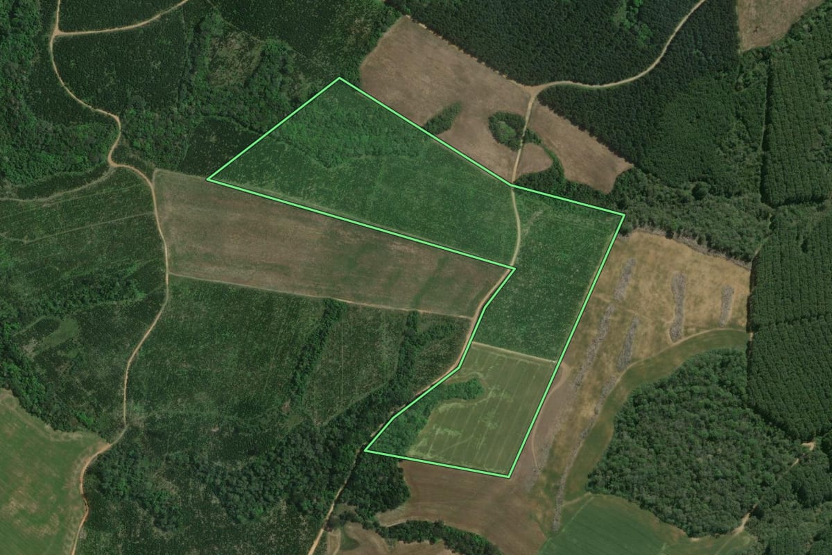 Imagem de satélite do imóvel rural em Mafra (SC), com o contorno declarado no CAR desenhado por cima.