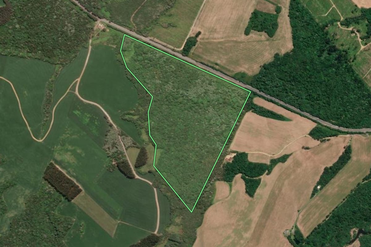 Imagem de satélite do imóvel rural em Mafra (SC), com o contorno declarado no CAR desenhado por cima.