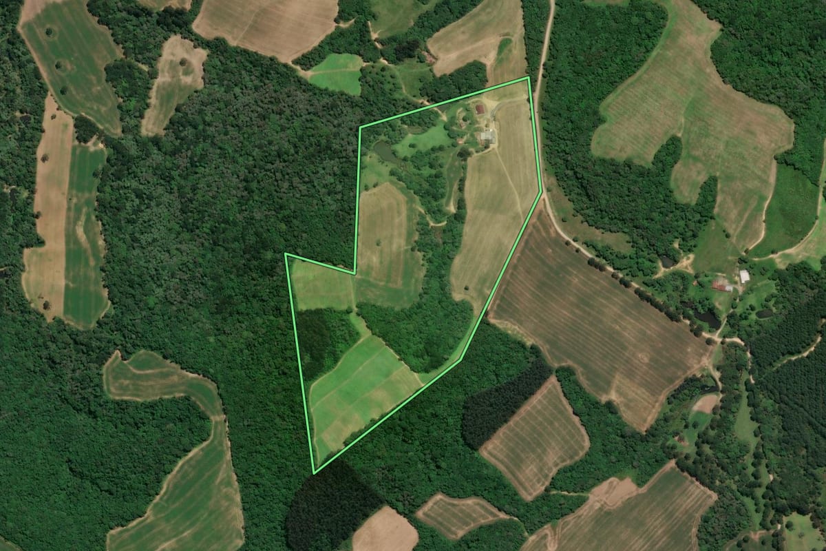 Imagem de satélite do imóvel rural em Mafra (SC), com o contorno declarado no CAR desenhado por cima.