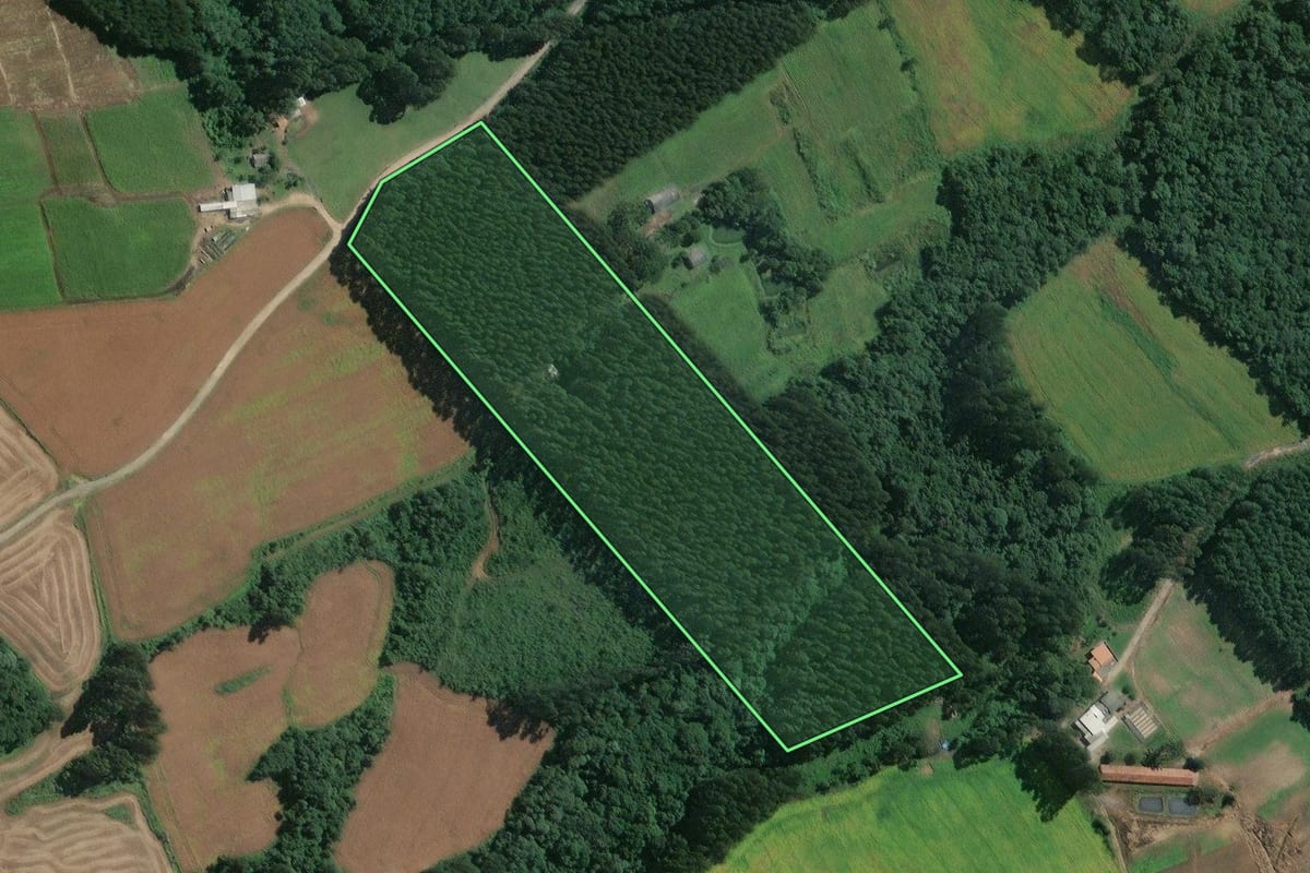 Imagem de satélite do imóvel rural em Mafra (SC), com o contorno declarado no CAR desenhado por cima.