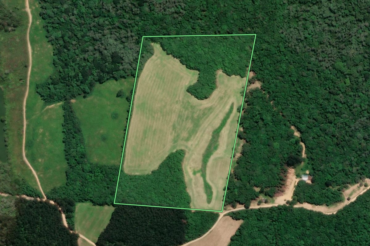 Imagem de satélite do imóvel rural em Mafra (SC), com o contorno declarado no CAR desenhado por cima.