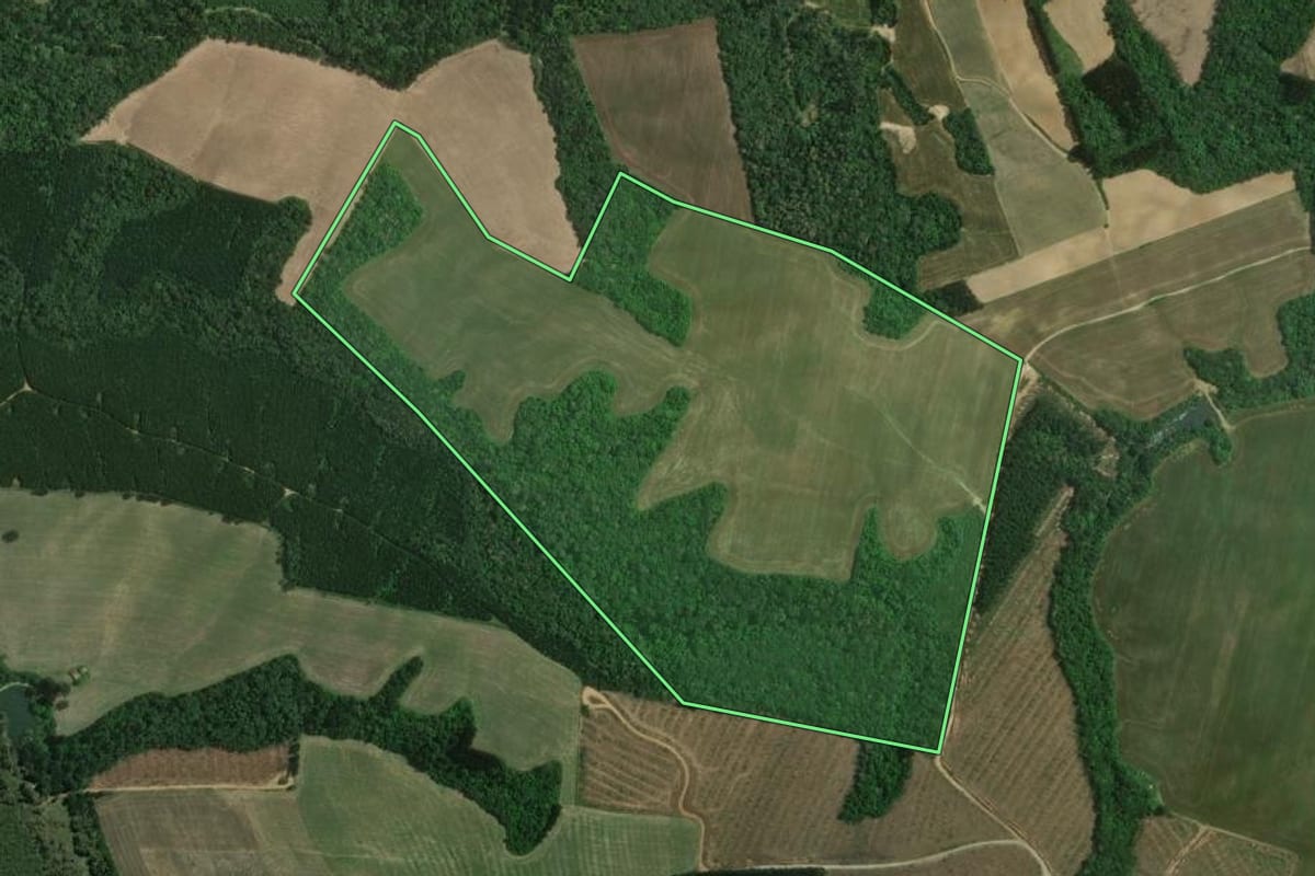 Imagem de satélite do imóvel rural em Mafra (SC), com o contorno declarado no CAR desenhado por cima.